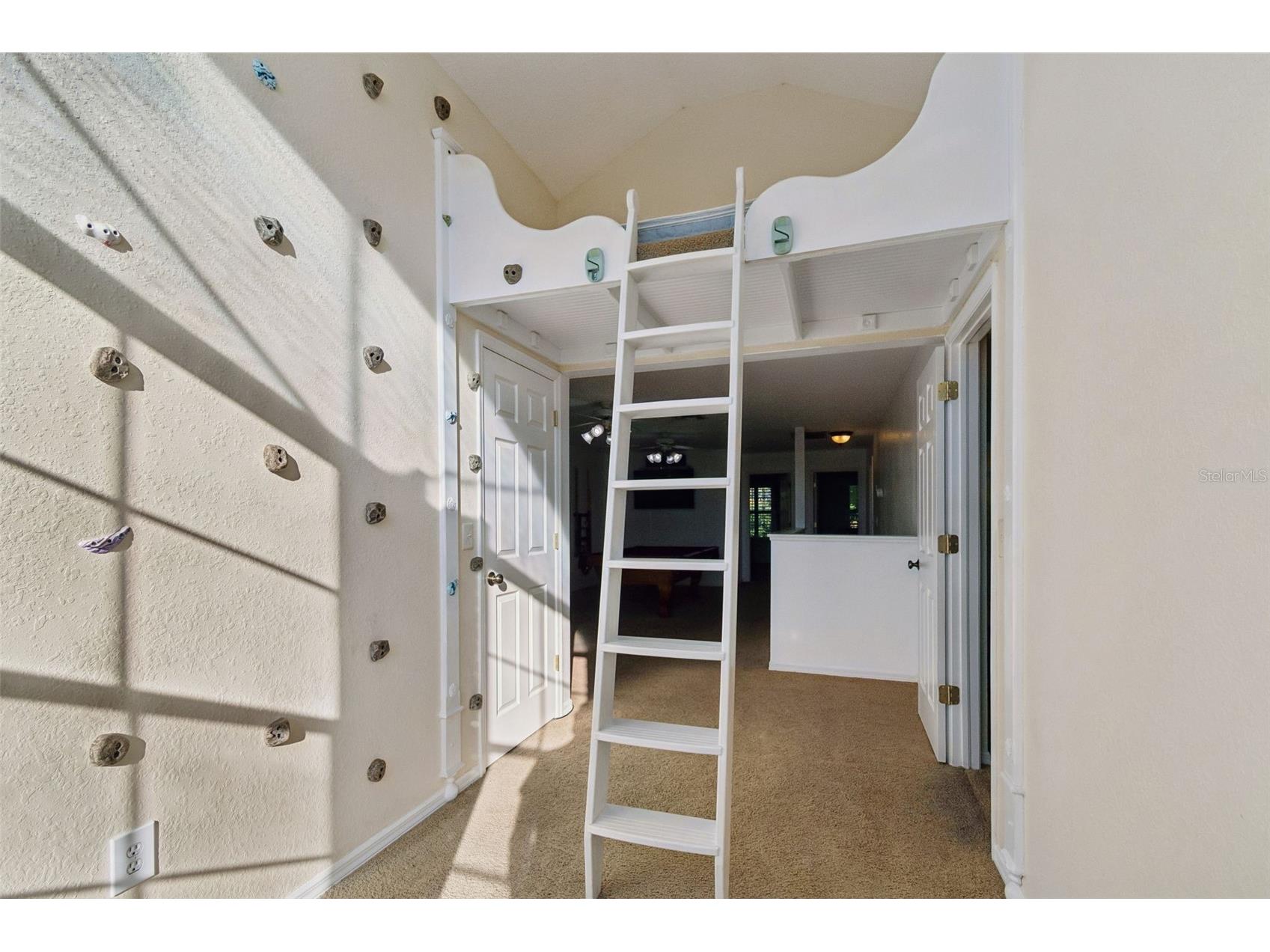 2786 Countryside Boulevard #2 Clearwater FL 33761 TB8474787 image42