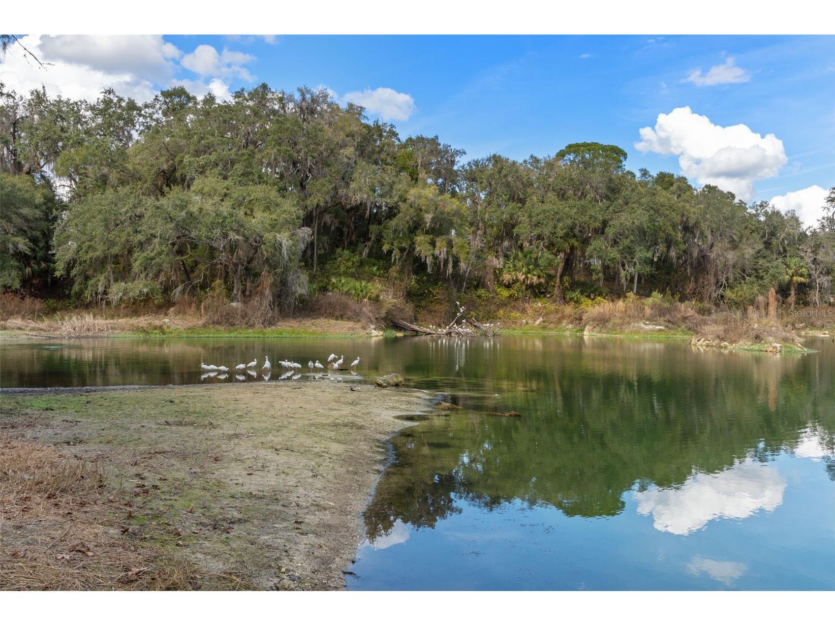 2786 N Canterbury Lake Drive Hernando FL 34442 - CANTERBURY LAKE W7881899 image35