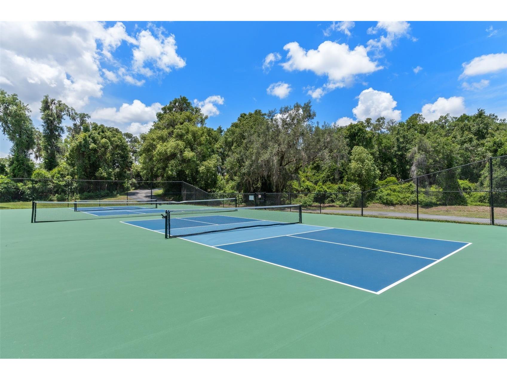 2786 N Canterbury Lake Drive Hernando FL 34442 - CANTERBURY LAKE W7881899 image44