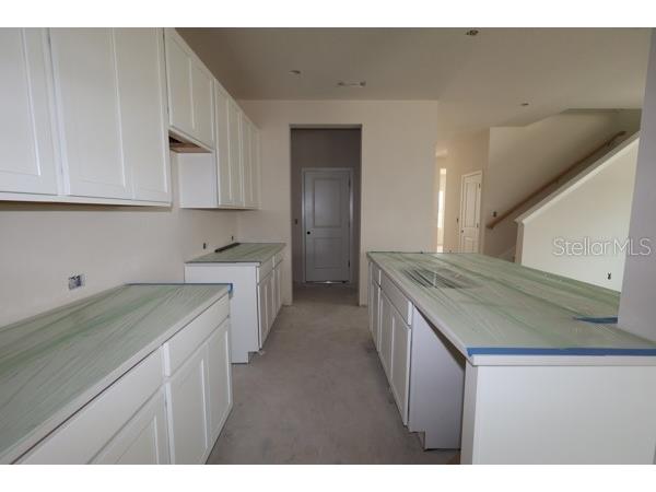 2786 Soleta View Odessa FL 33556 TB8494292 image8