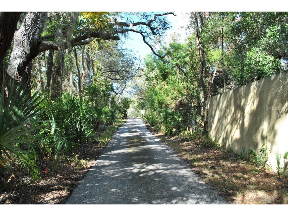 2787 Keystone Road Tarpon Springs FL 34688 TB8445666 image16