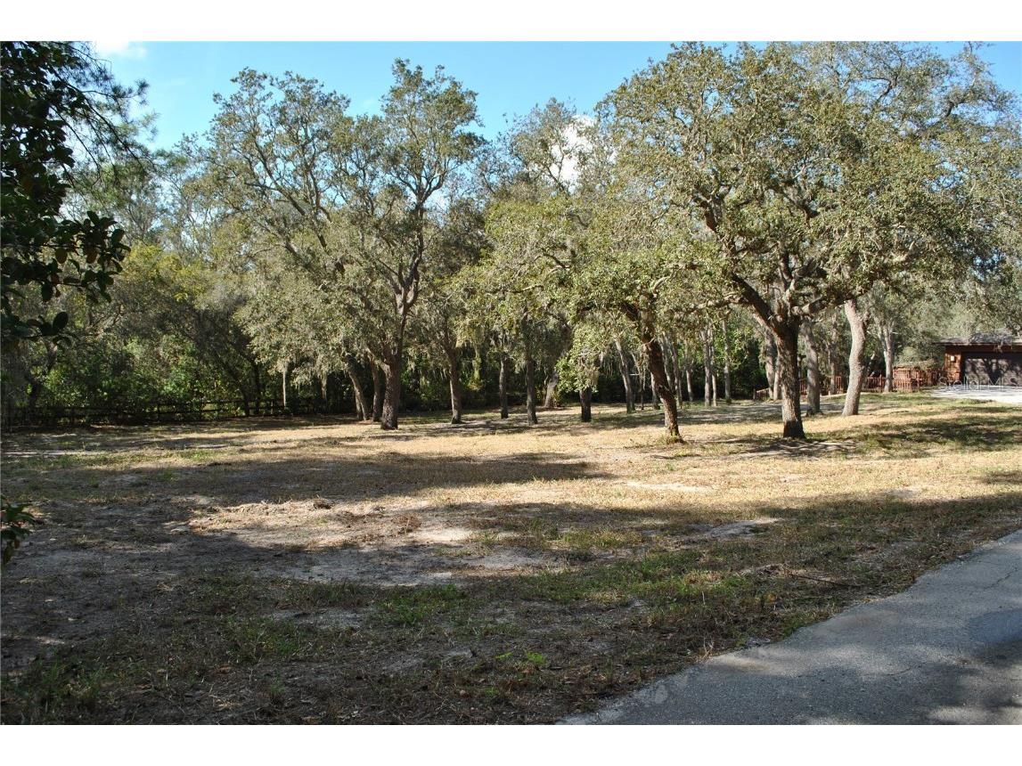 2787 Keystone Road Tarpon Springs FL 34688 TB8445666 image18