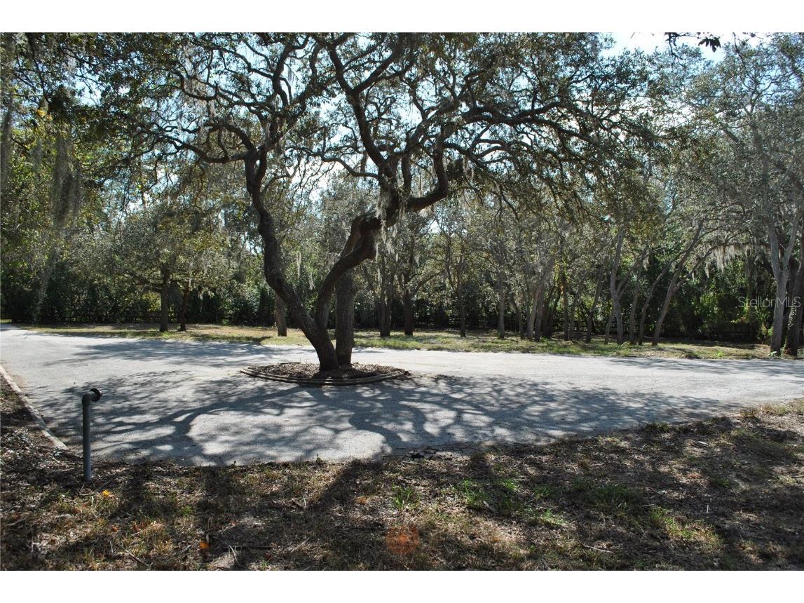 2787 Keystone Road Tarpon Springs FL 34688 TB8445666 image22