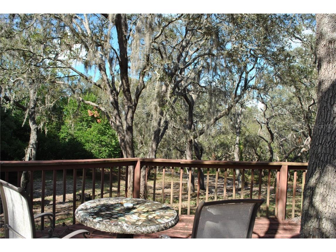 2787 Keystone Road Tarpon Springs FL 34688 TB8445666 image25