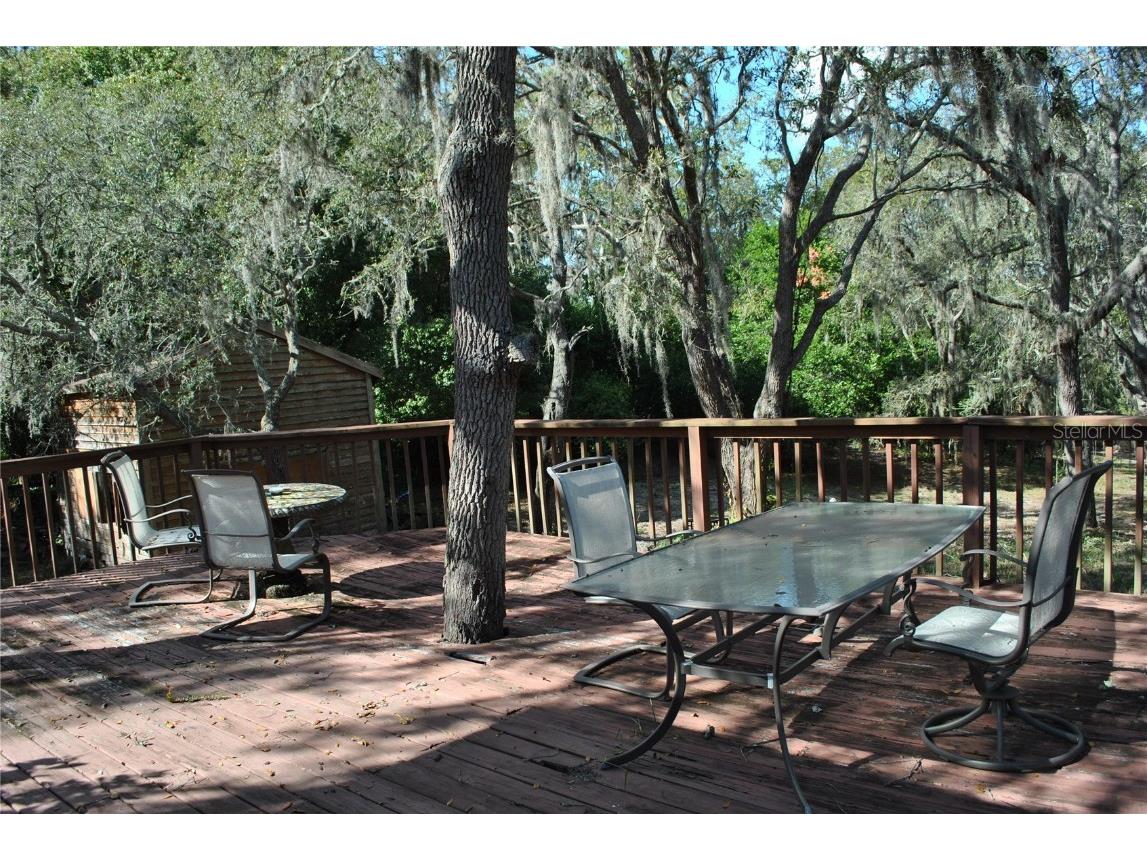 2787 Keystone Road Tarpon Springs FL 34688 TB8445666 image26