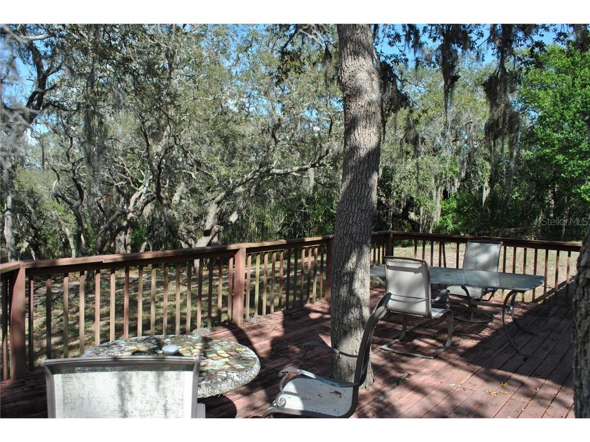 2787 Keystone Road Tarpon Springs FL 34688 TB8445666 image27