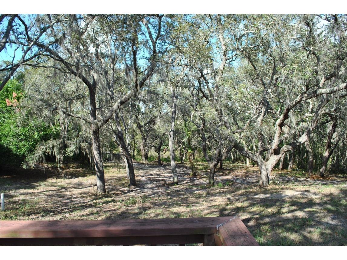 2787 Keystone Road Tarpon Springs FL 34688 TB8445666 image29