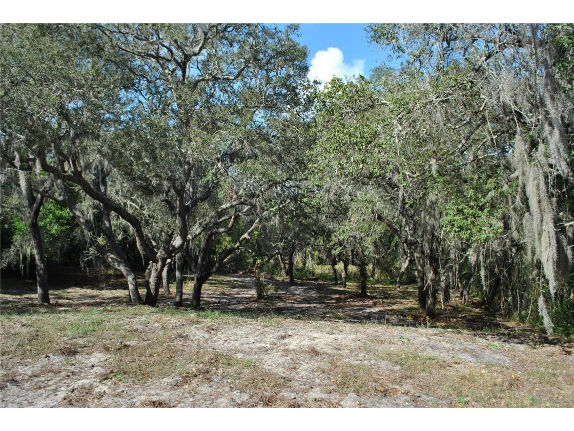 2787 Keystone Road Tarpon Springs FL 34688 TB8445666 image30