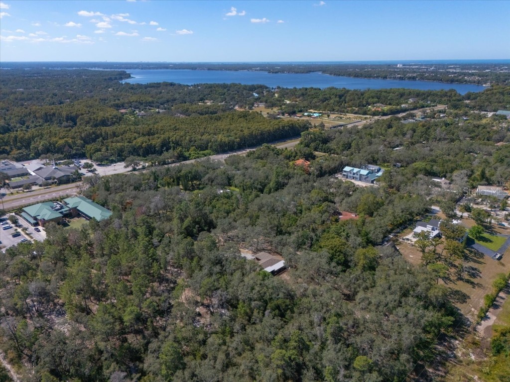 2787 Keystone Road Tarpon Springs FL 34688 TB8445666 image5