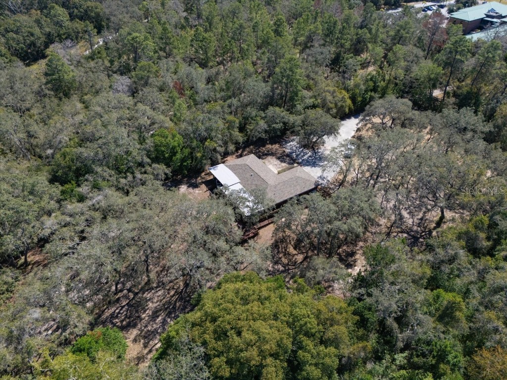 2787 Keystone Road Tarpon Springs FL 34688 TB8445666 image9