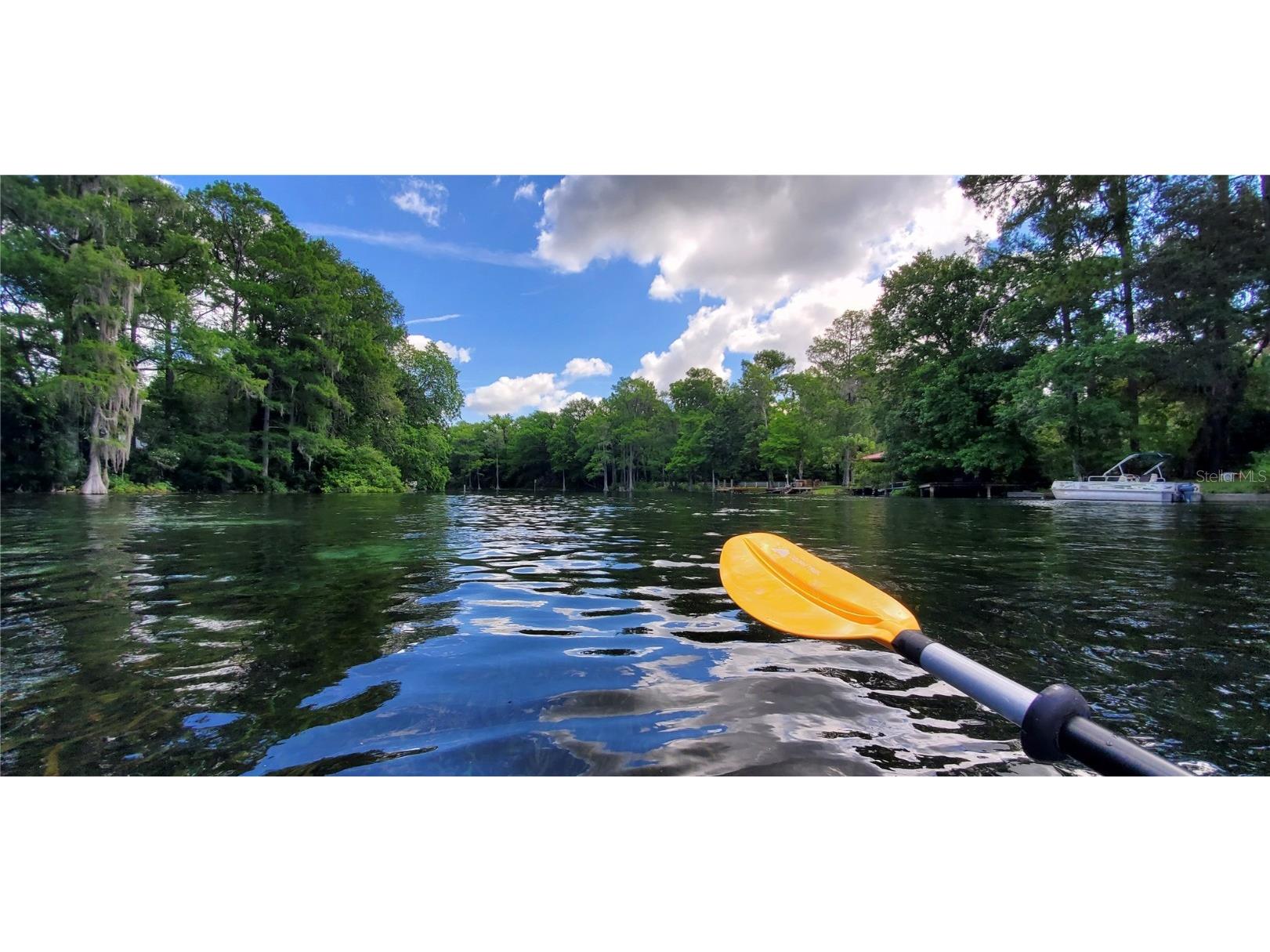 2788 W Cypress Drive Dunnellon FL 34433 - WITHLACOOCHEE RIVER/LAKE ROSSE OM699637 image50