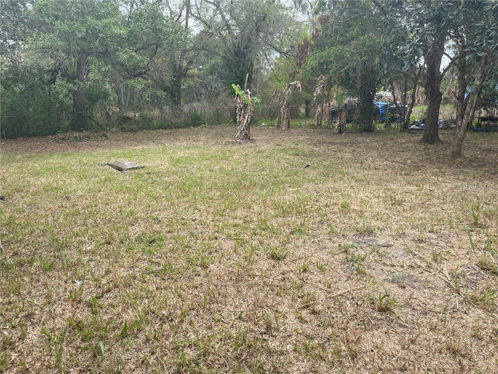 2789 SW Terrell Street Arcadia FL 34266 A4527383 image1