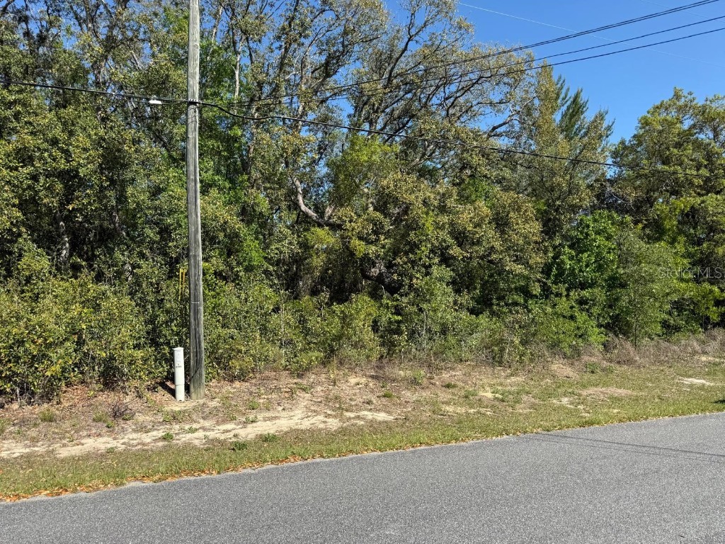 2789 W Manitoba Place Dunnellon FL 34433 O6352739 image1