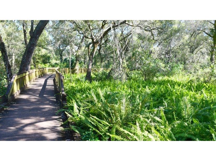 279 79th Avenue N Saint Petersburg FL 33702 TB8455532 image34