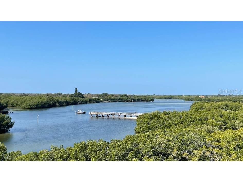 279 79th Avenue N Saint Petersburg FL 33702 TB8455532 image35