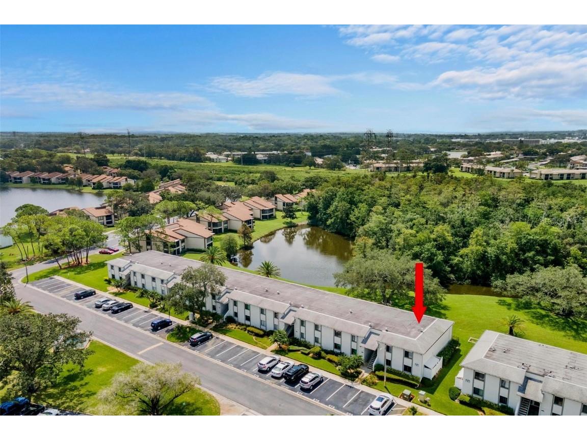 279 Cypress Lane Oldsmar FL 34677 U8211544 image1