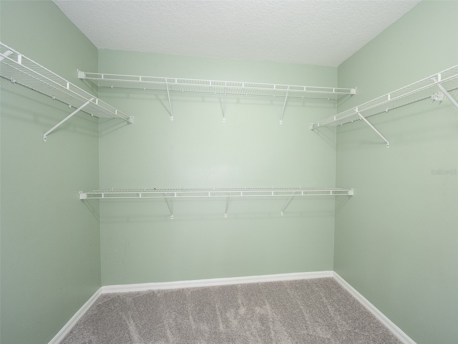279 Doe Run Drive Winter Garden FL 34787 TB8513595 image17
