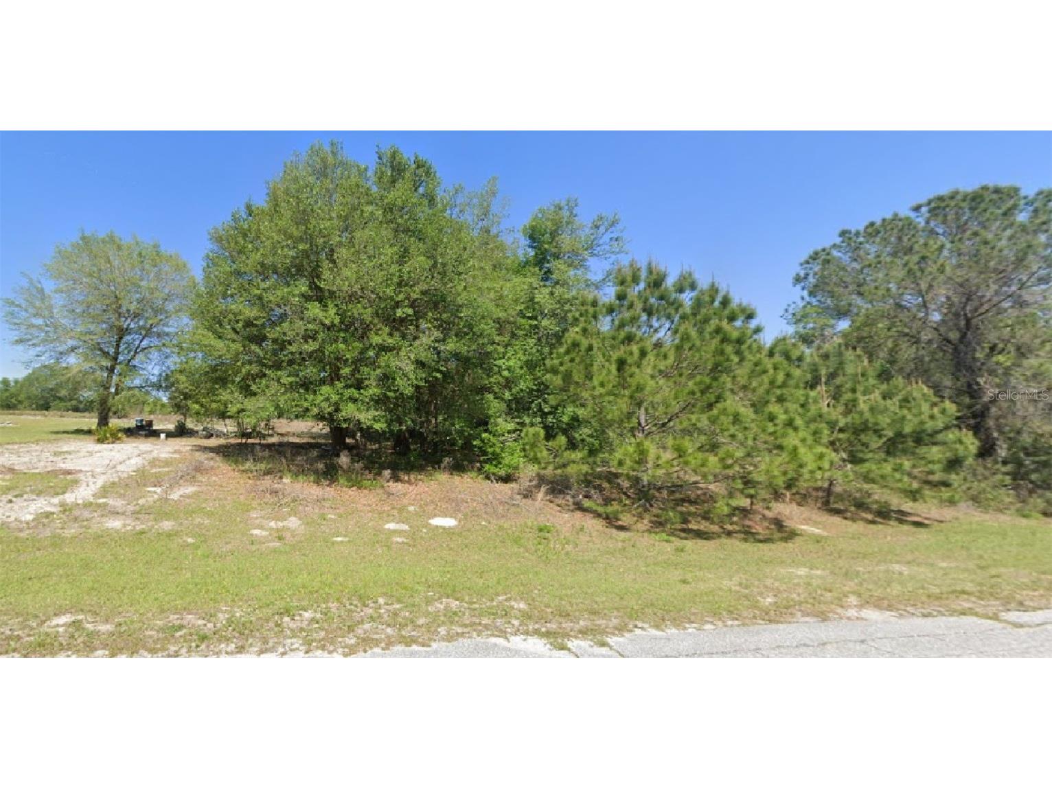 279 E Citrus Springs Boulevard Citrus Springs FL 34434 O6100614 image1