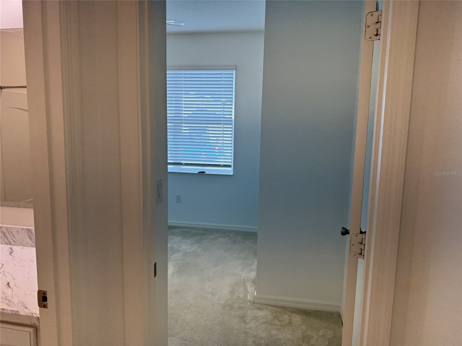 279 Sunfish Drive Drive Winter Haven FL 33881 S5149630 image7