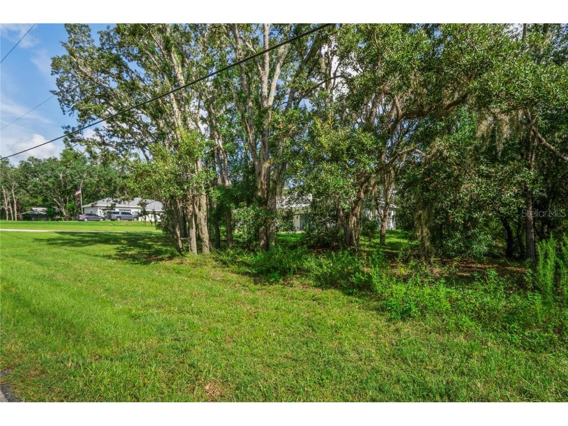 279 W Pearson Street Hernando FL 34442 TB8413587 image58