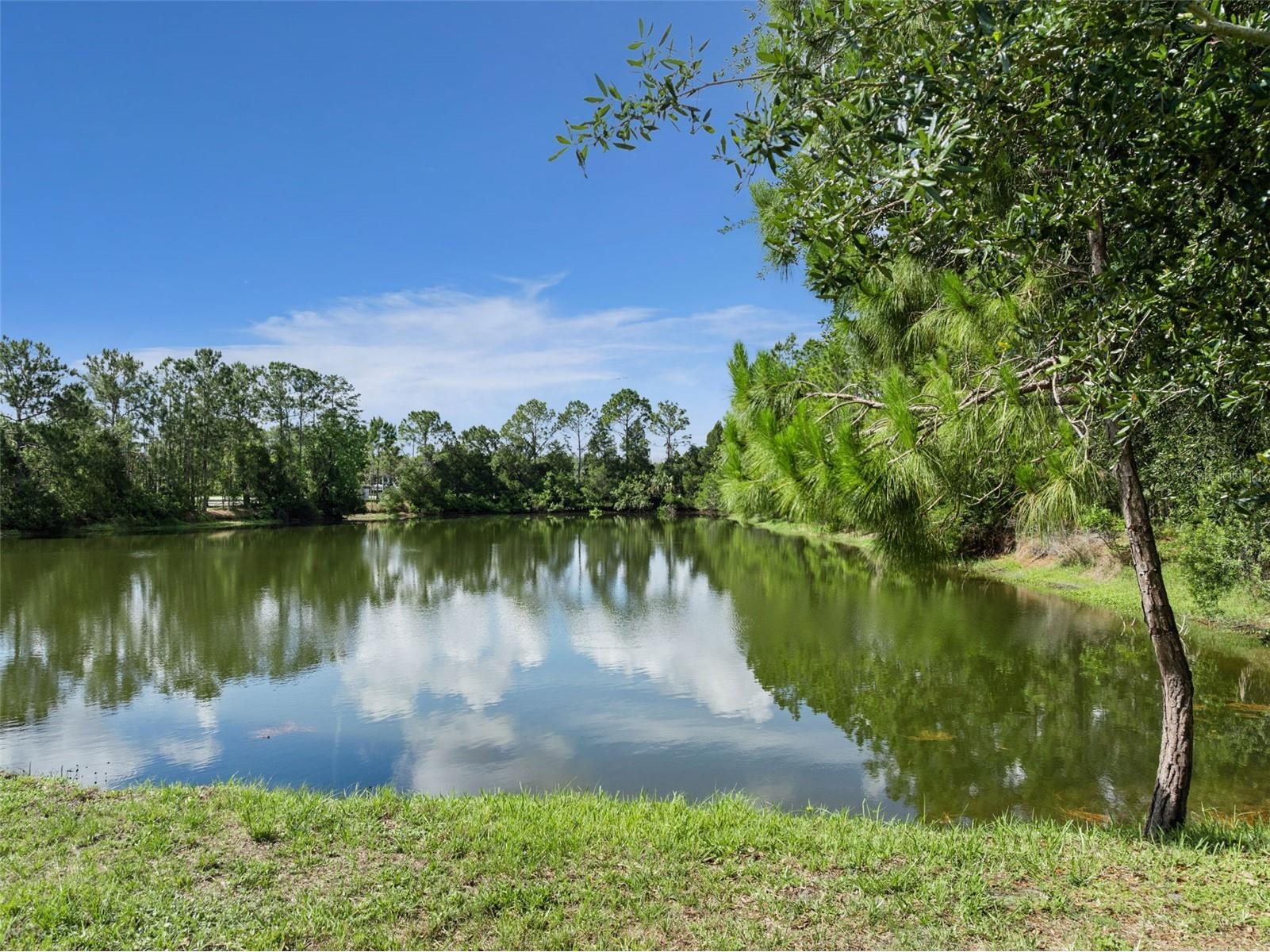 2790 Blue Springs Cove Oviedo FL 32766 O6409238 image44