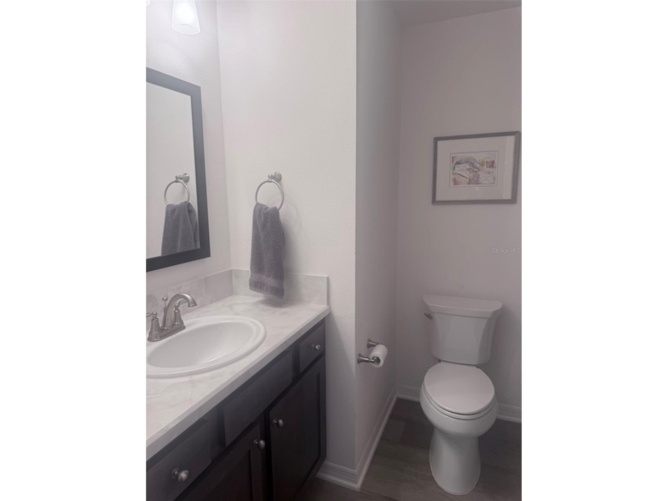 2790 Carytown Loop The Villages FL 32163 TB8524138 image17