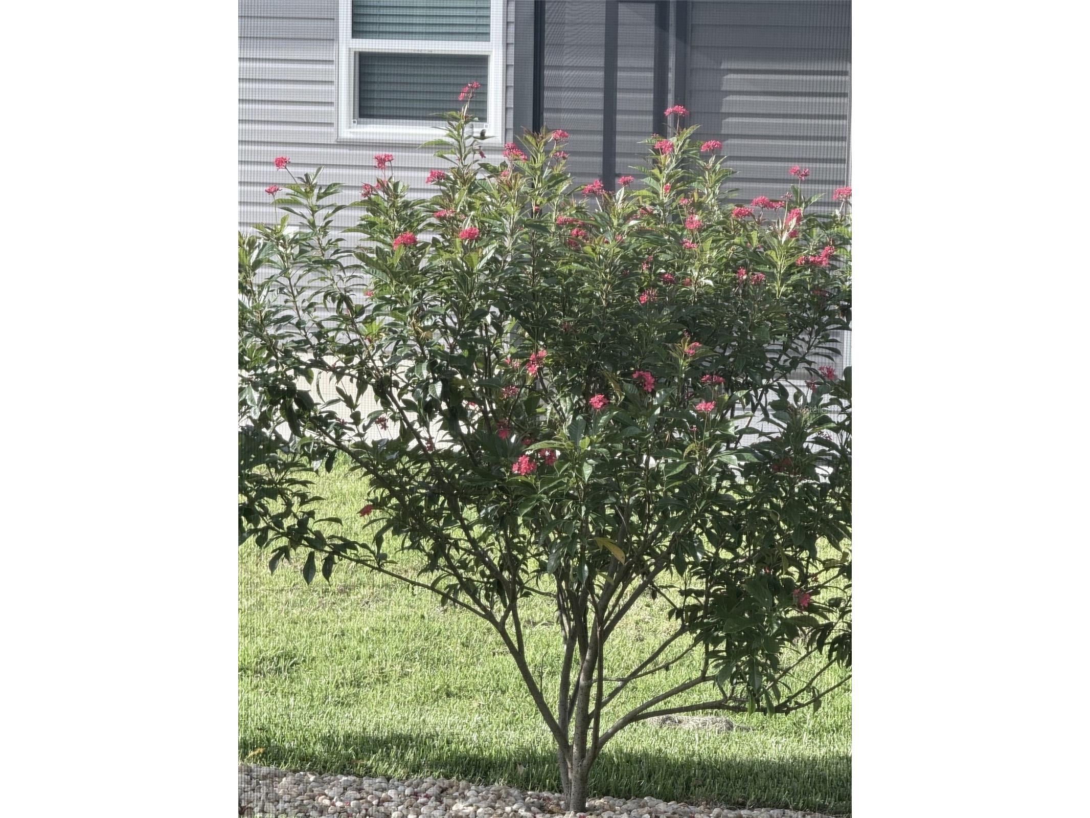2790 Carytown Loop The Villages FL 32163 TB8524138 image25