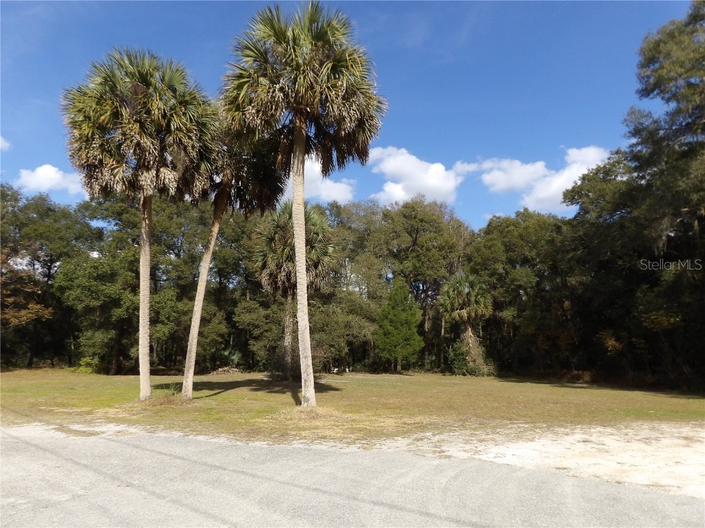 2790 N Leavitt Avenue Orange City FL 32763 V4922919 image1