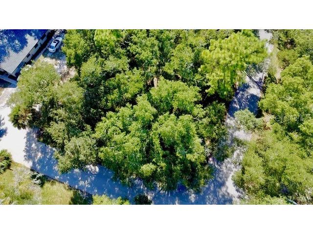 2790 NE 49th Avenue Ocala FL 34470 O6345127 image4