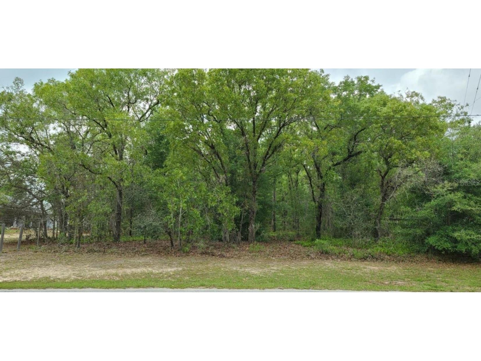 2790 W Rutland Drive Citrus Springs FL 34433 OM678475 image1