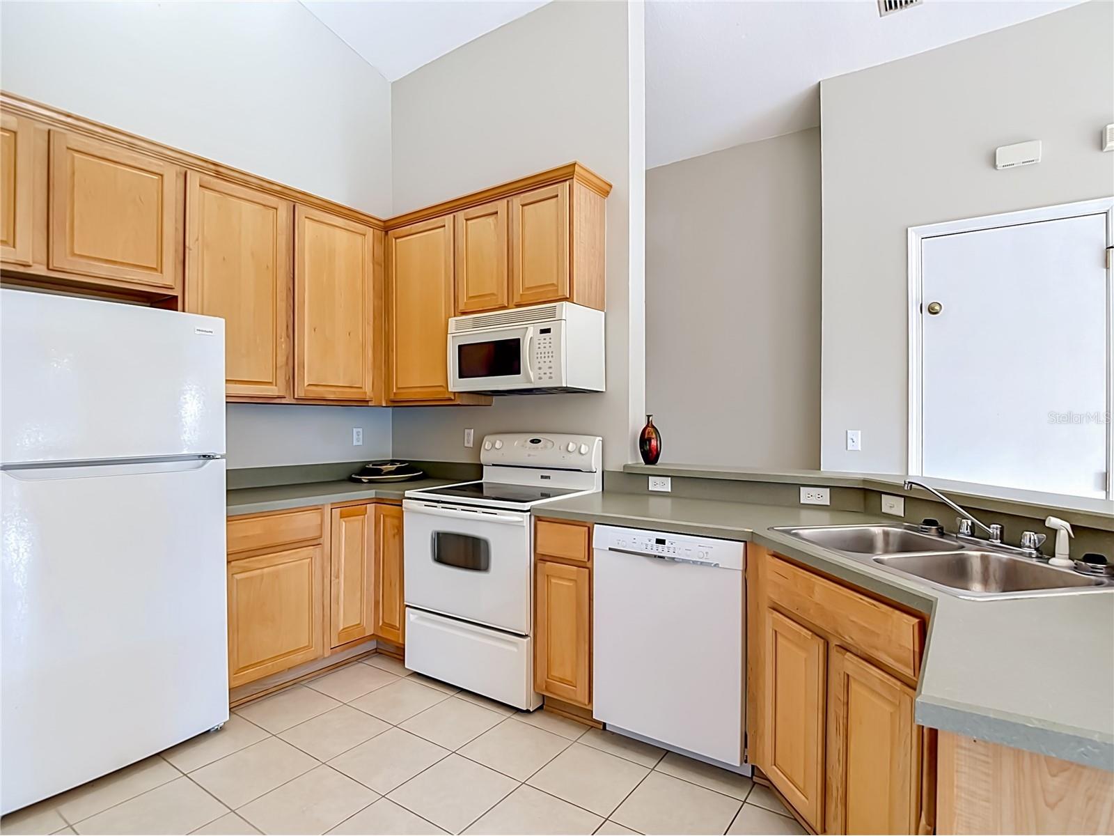 27901 Pleasure Ride Loop Wesley Chapel FL 33544 TB8508664 image14