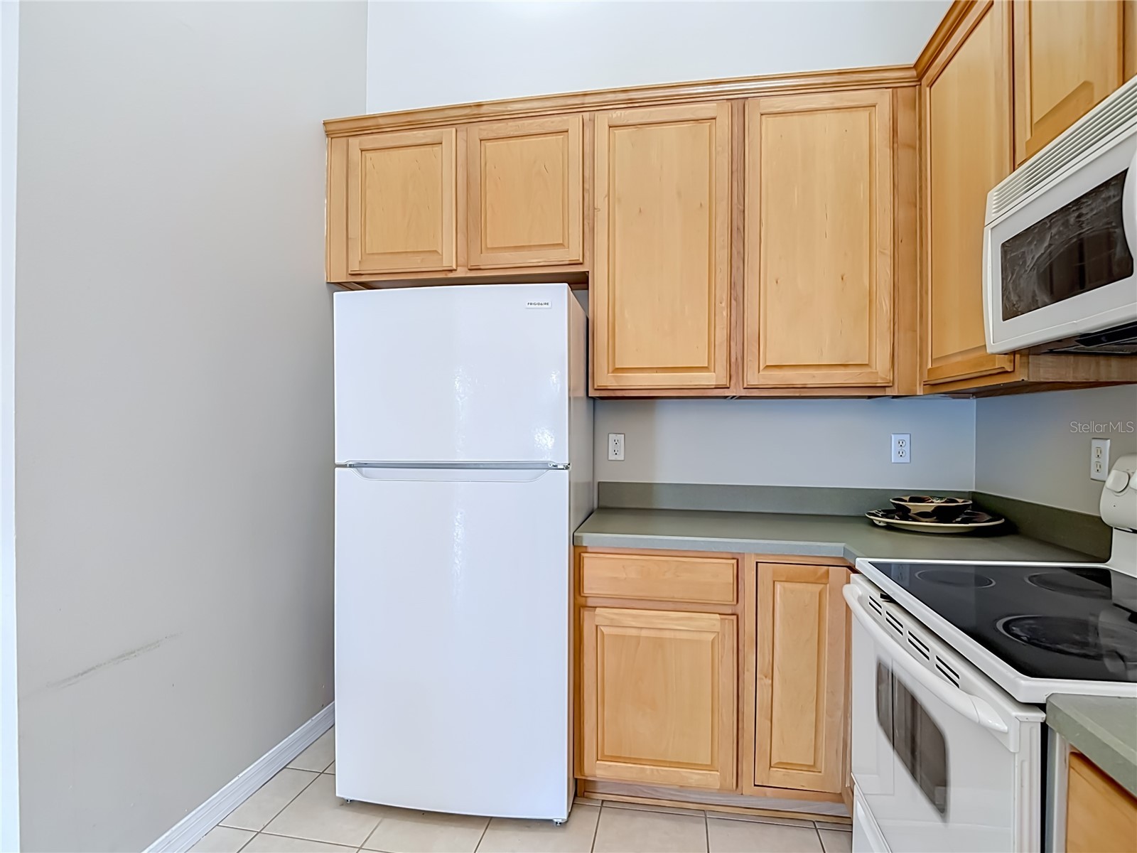 27901 Pleasure Ride Loop Wesley Chapel FL 33544 TB8508664 image16