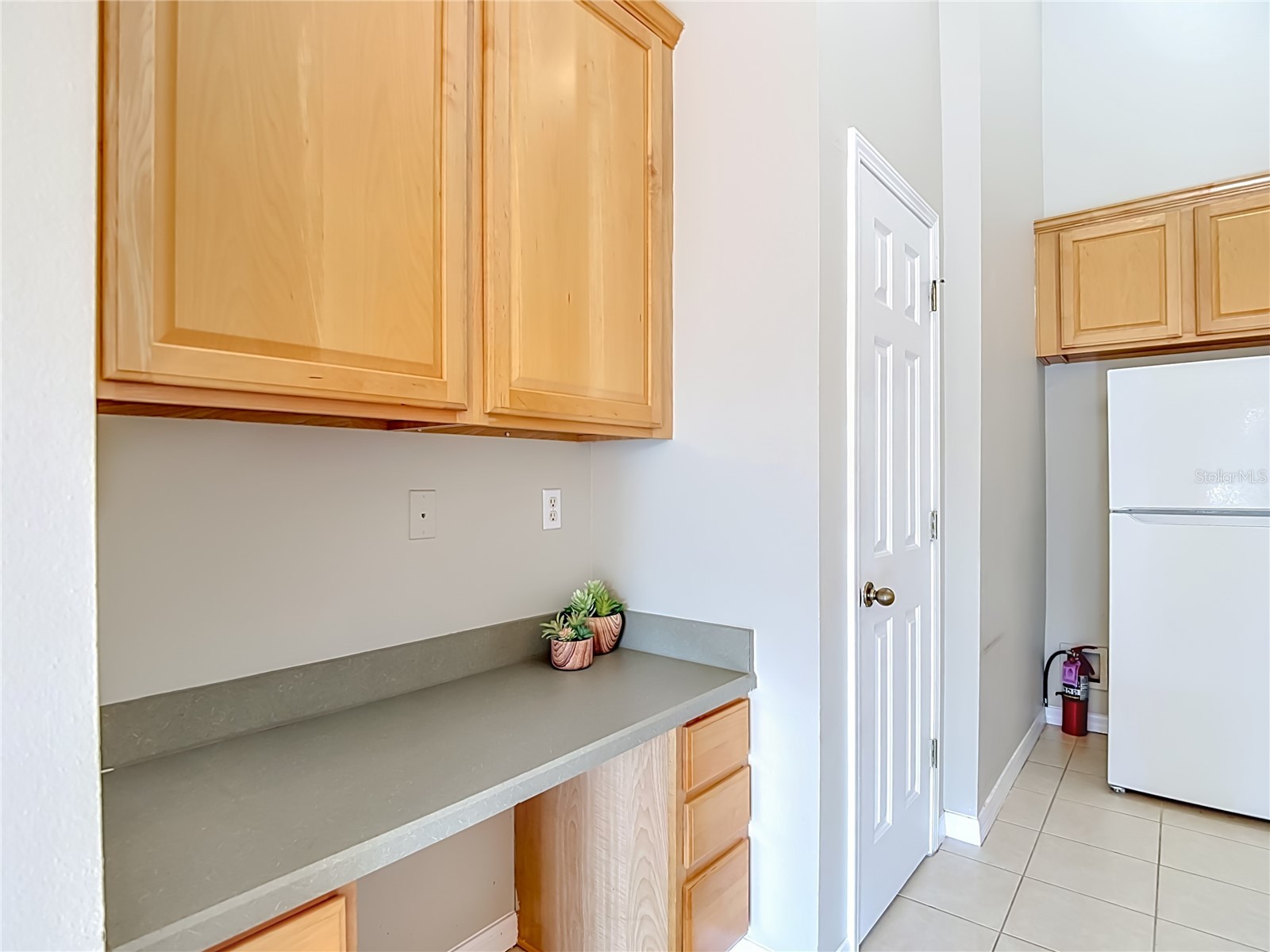 27901 Pleasure Ride Loop Wesley Chapel FL 33544 TB8508664 image17