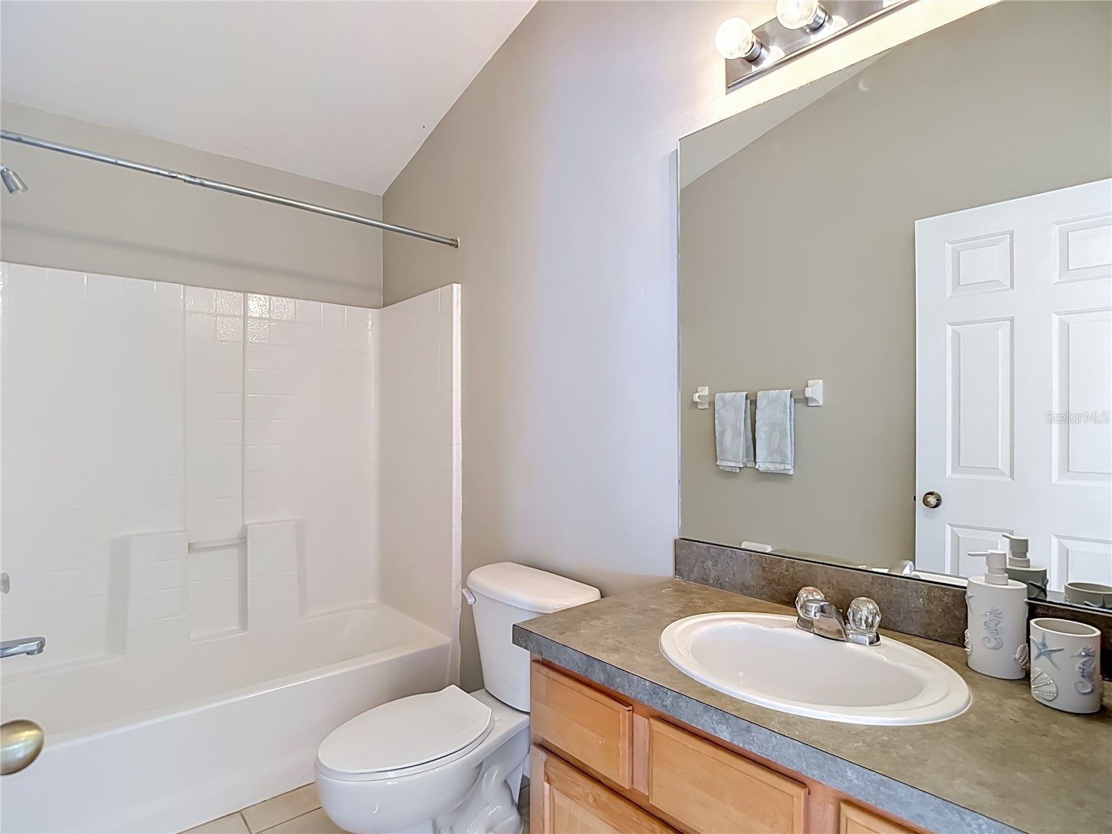 27901 Pleasure Ride Loop Wesley Chapel FL 33544 TB8508664 image33