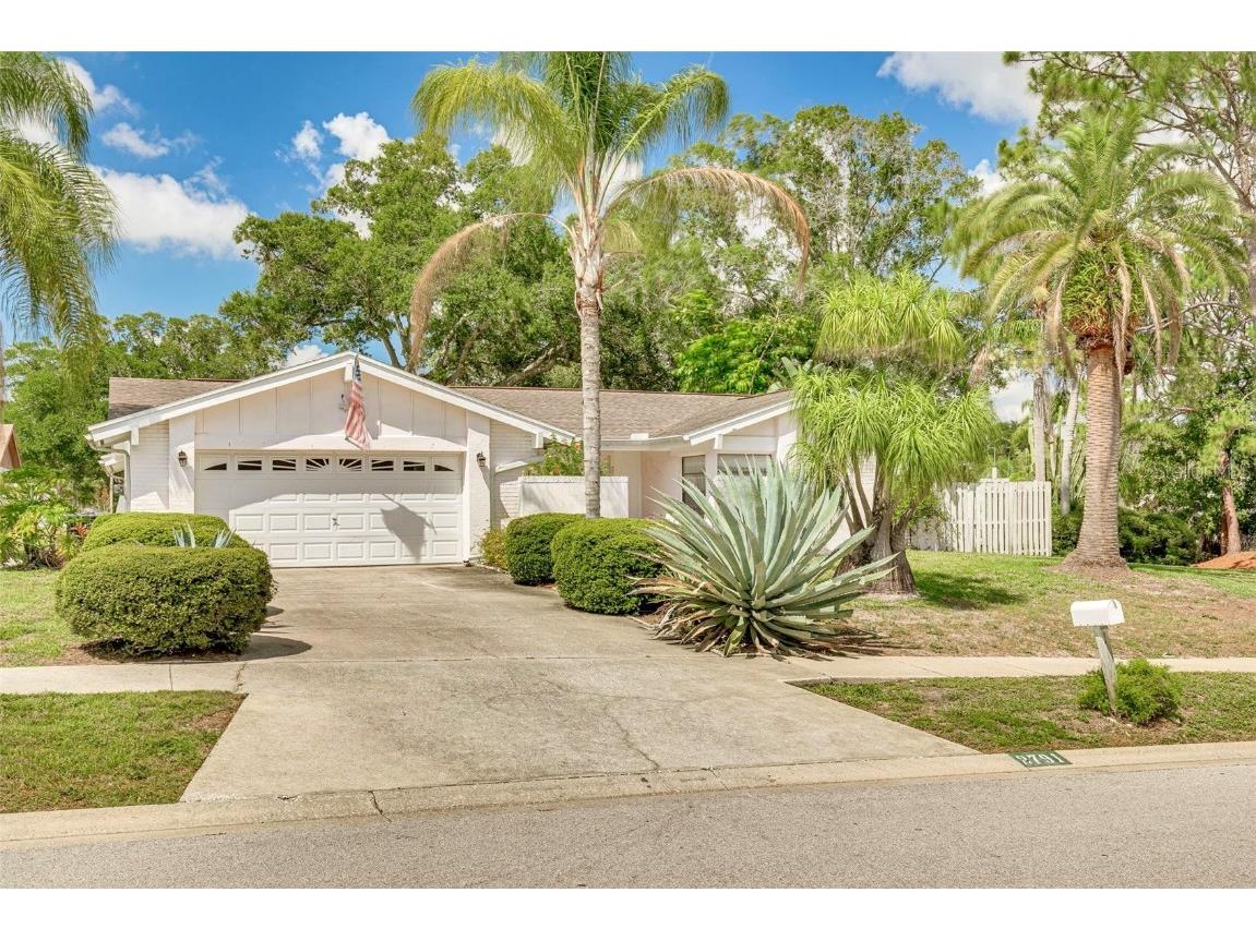 2791 Northcote Drive Palm Harbor FL 34684 U8204048 image1