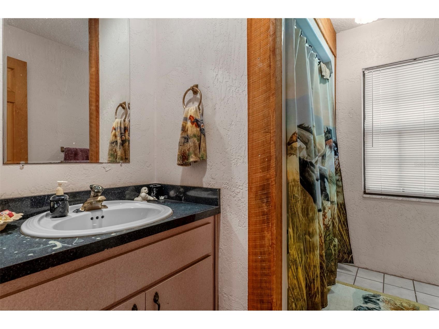 27910 Debbie Road Okahumpka FL 34762 OM715893 image35