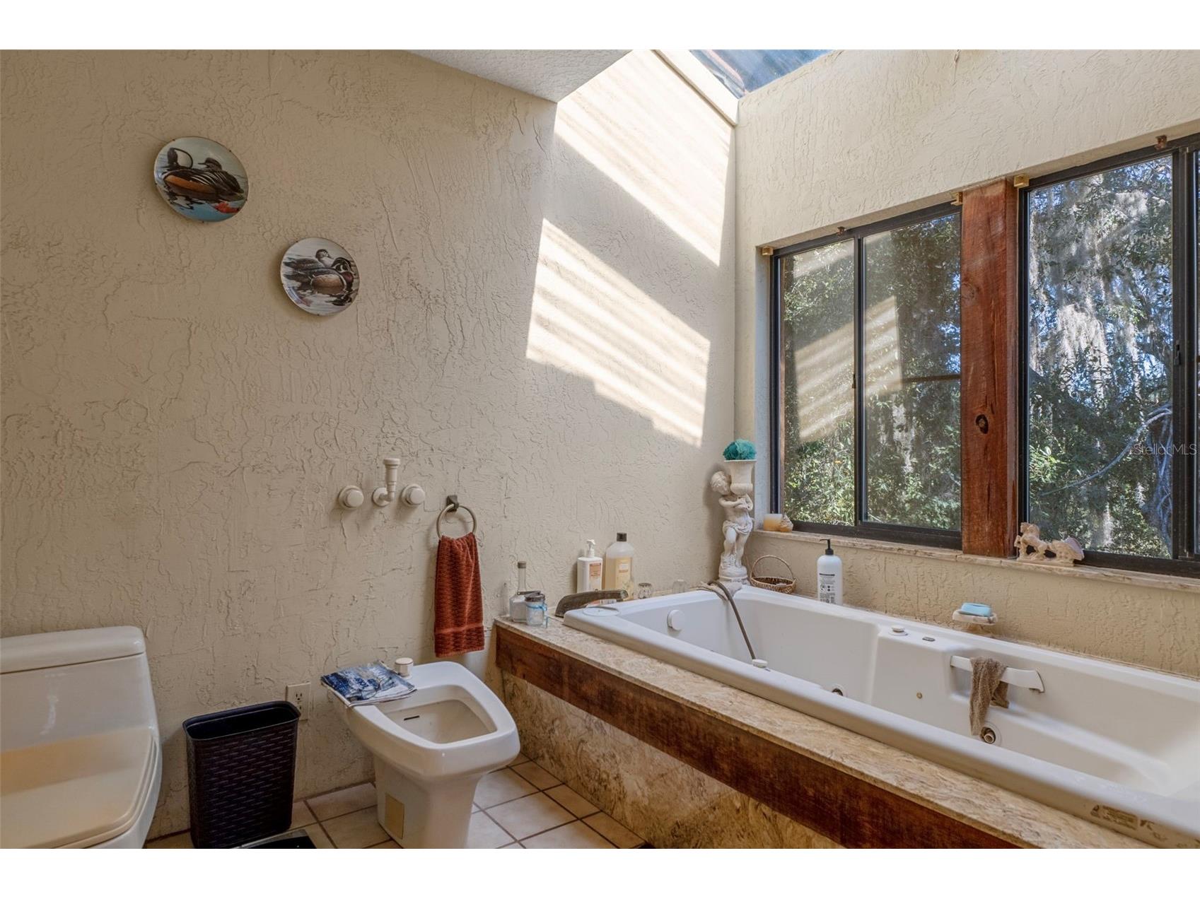 27910 Debbie Road Okahumpka FL 34762 OM715893 image42