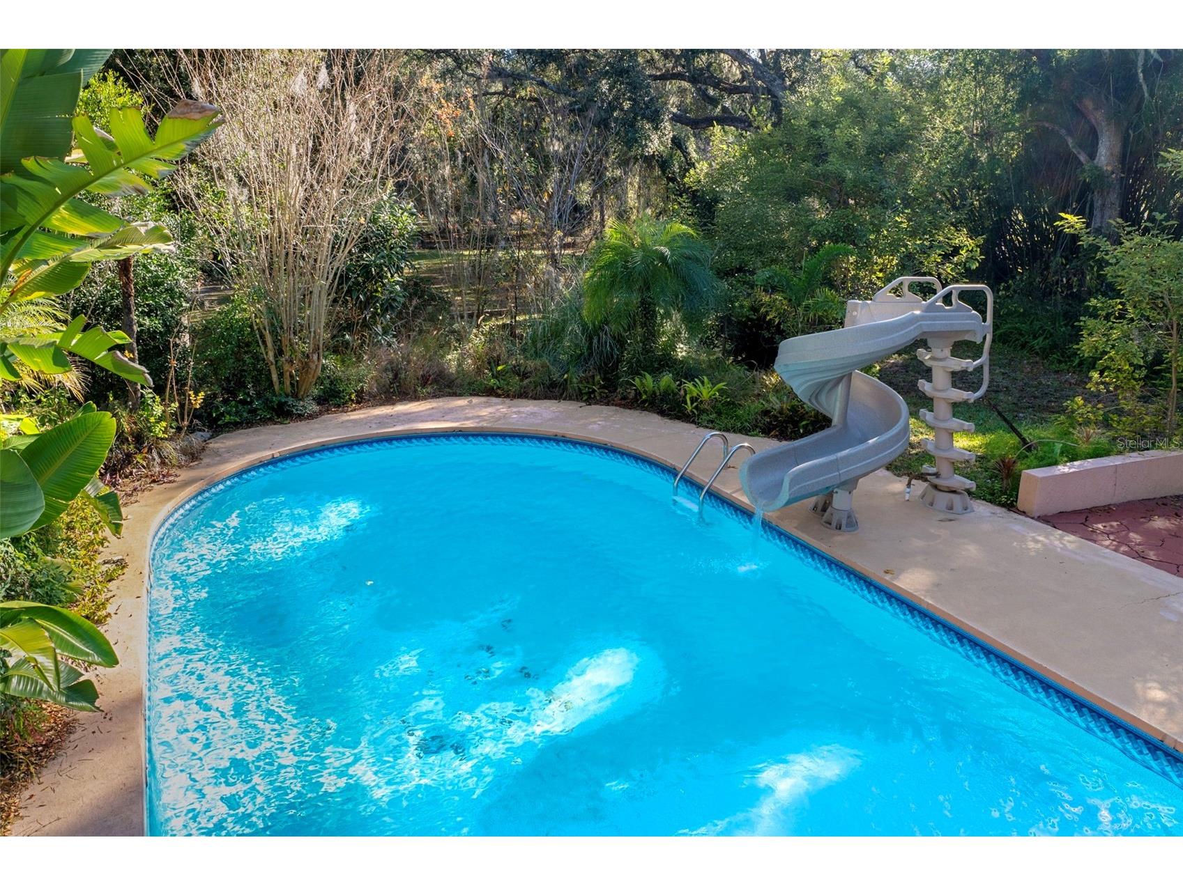 27910 Debbie Road Okahumpka FL 34762 OM715893 image50