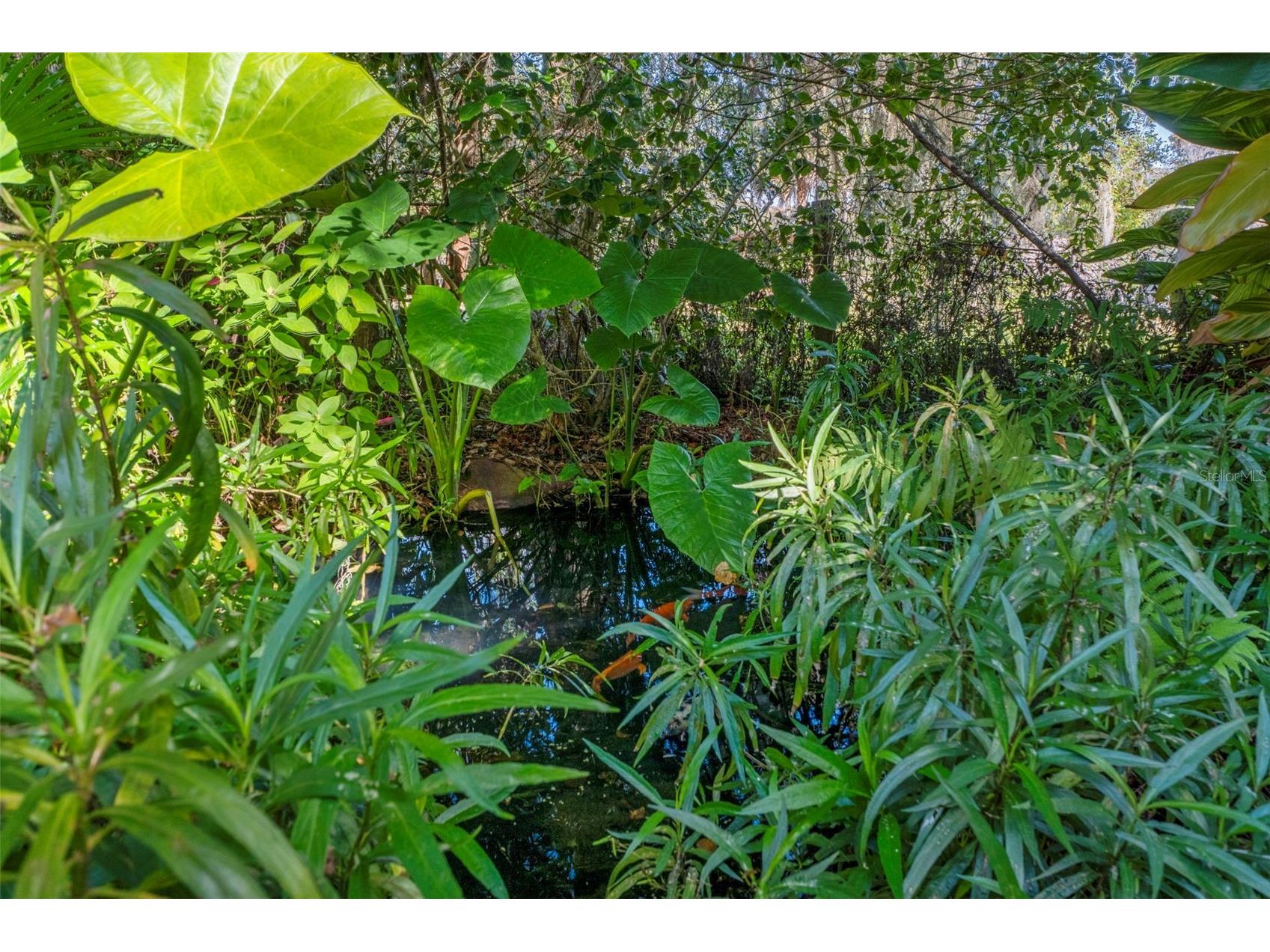 27910 Debbie Road Okahumpka FL 34762 OM715893 image53