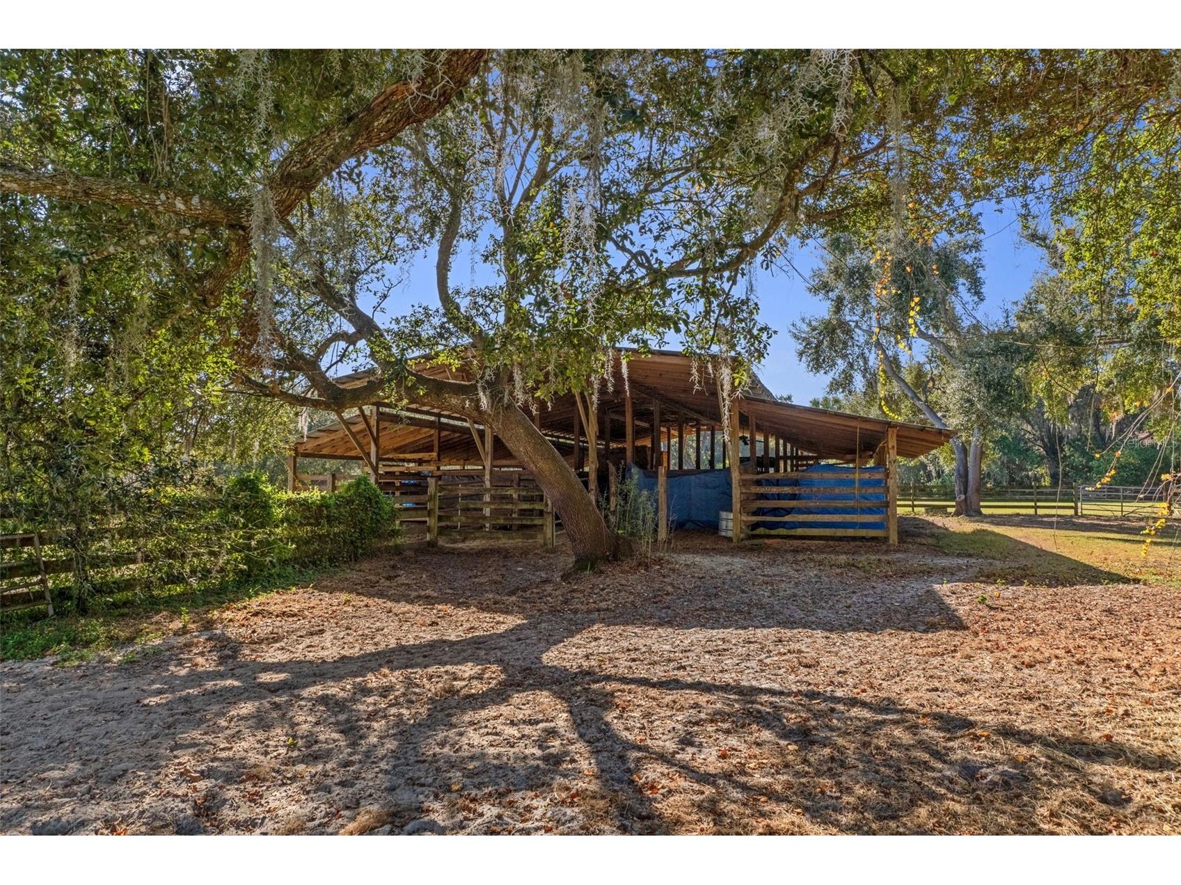 27910 Debbie Road Okahumpka FL 34762 OM715893 image6