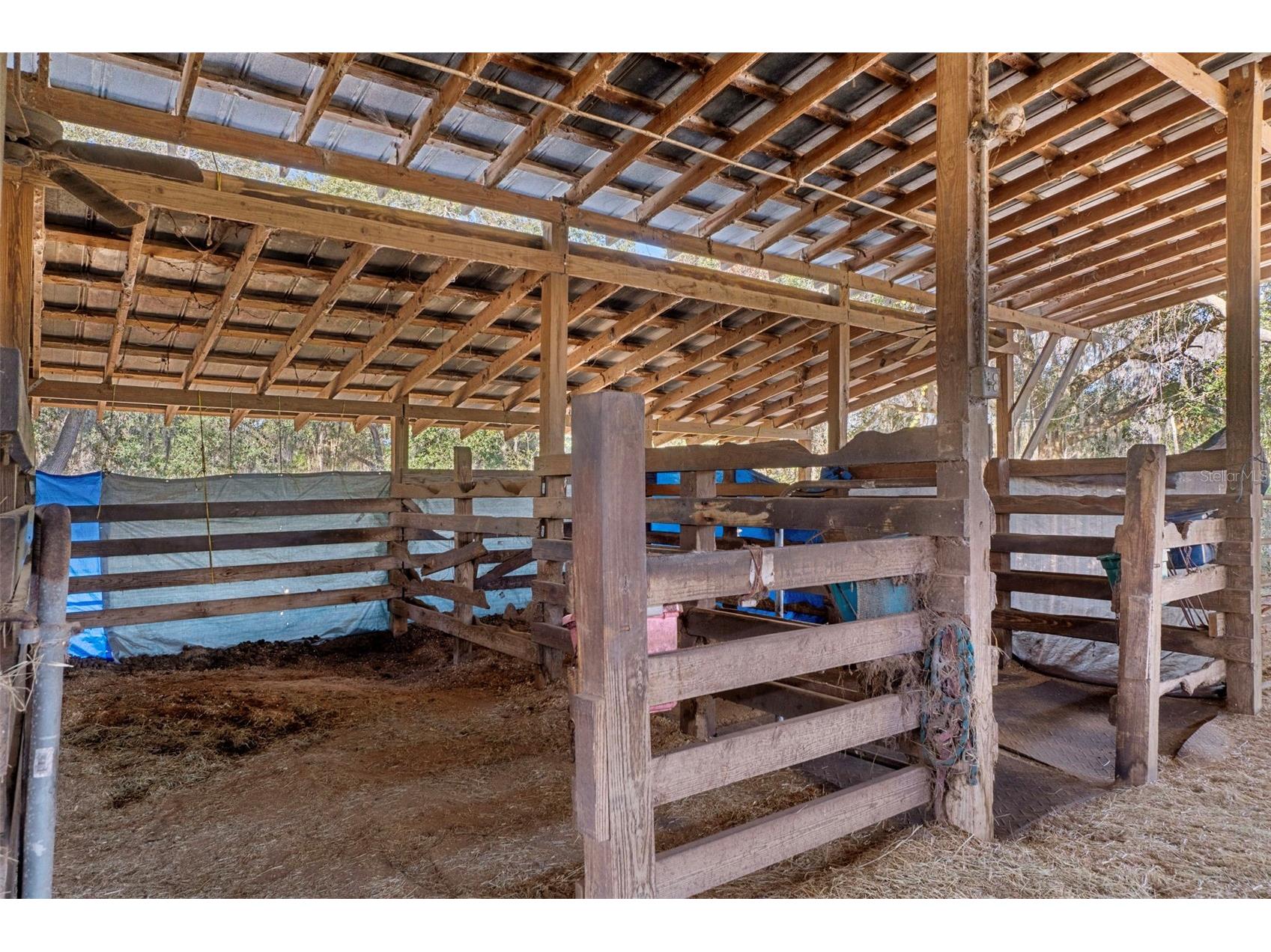 27910 Debbie Road Okahumpka FL 34762 OM715893 image60