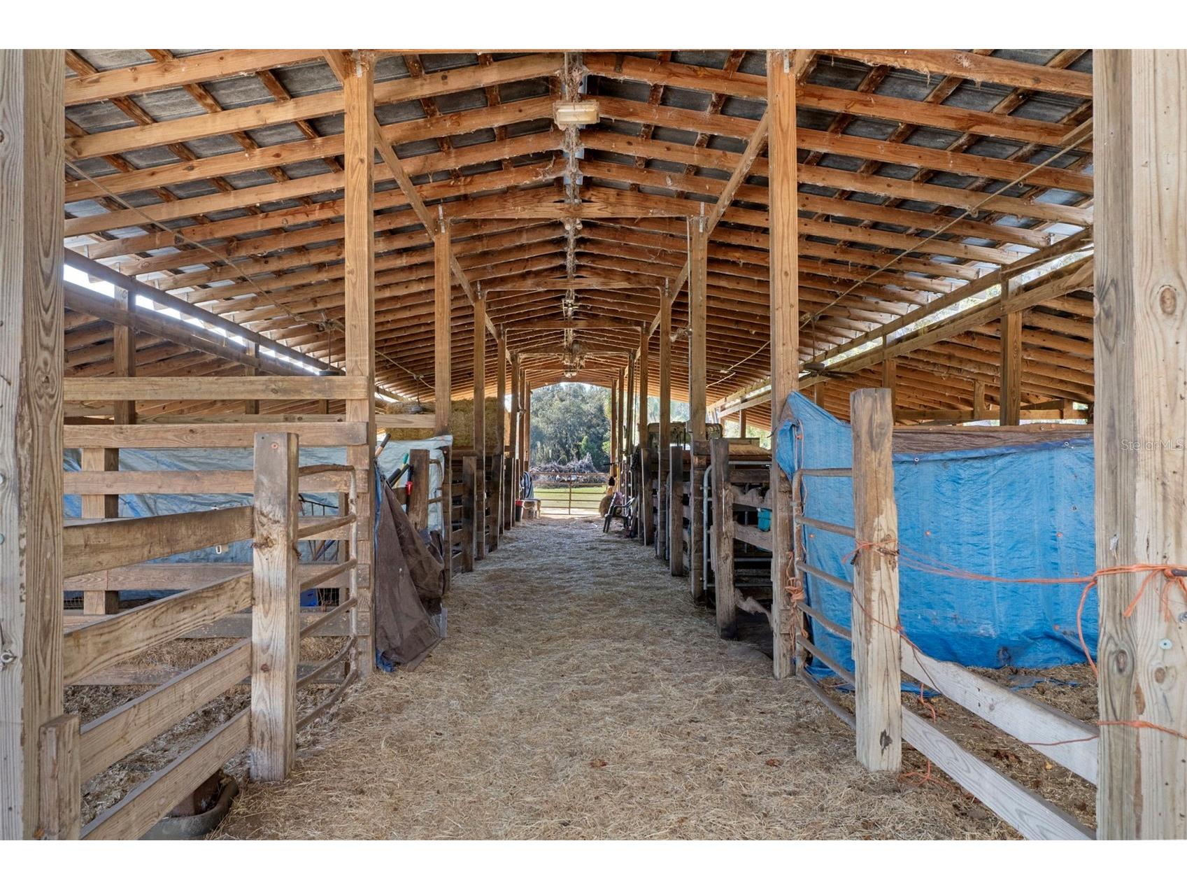 27910 Debbie Road Okahumpka FL 34762 OM715893 image61