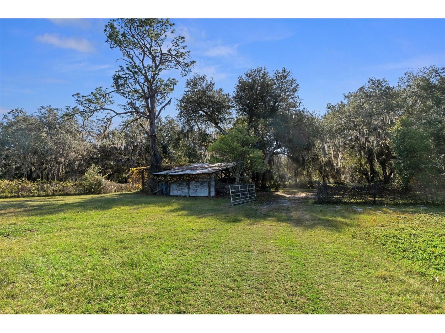 27910 Debbie Road Okahumpka FL 34762 OM715893 image65