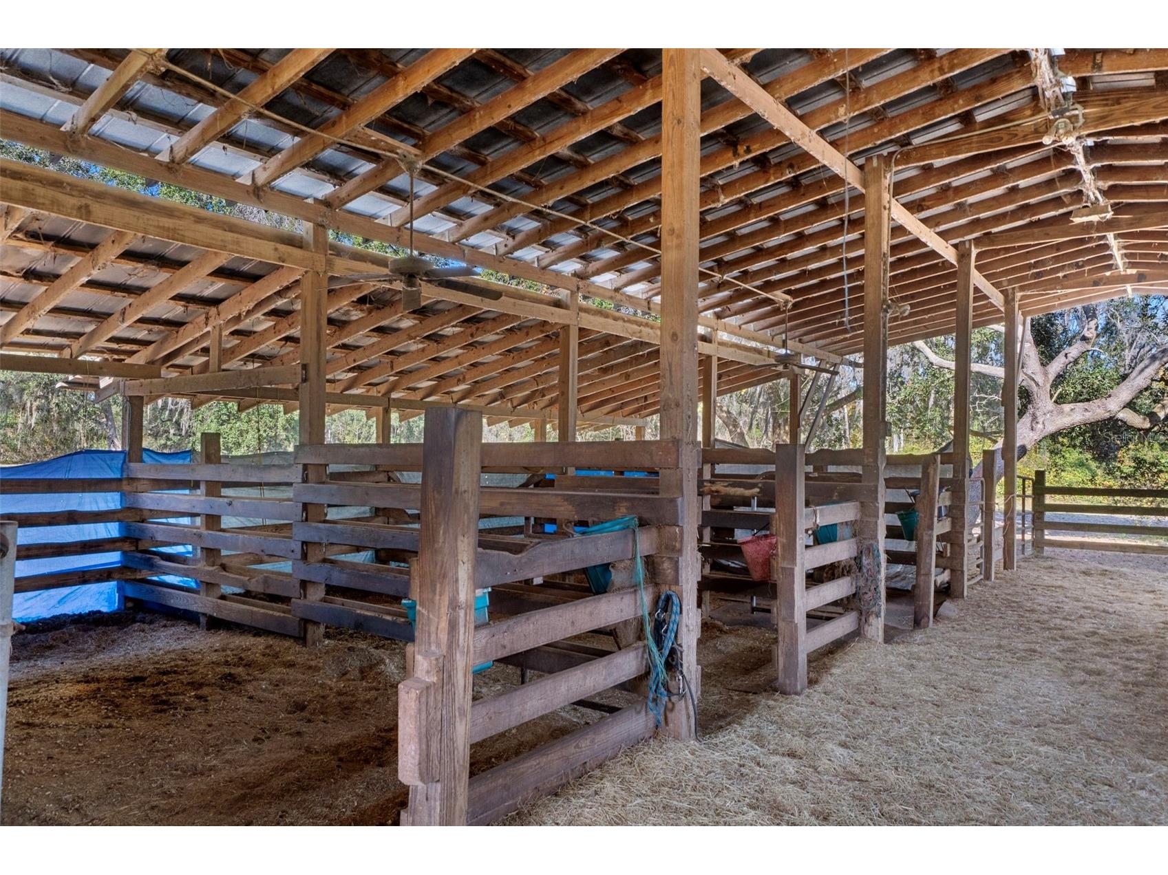 27910 Debbie Road Okahumpka FL 34762 OM715893 image7