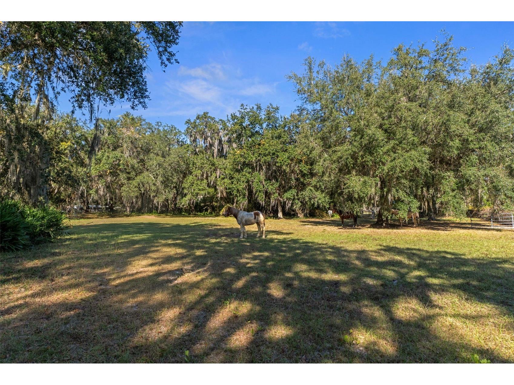 27910 Debbie Road Okahumpka FL 34762 OM715893 image74