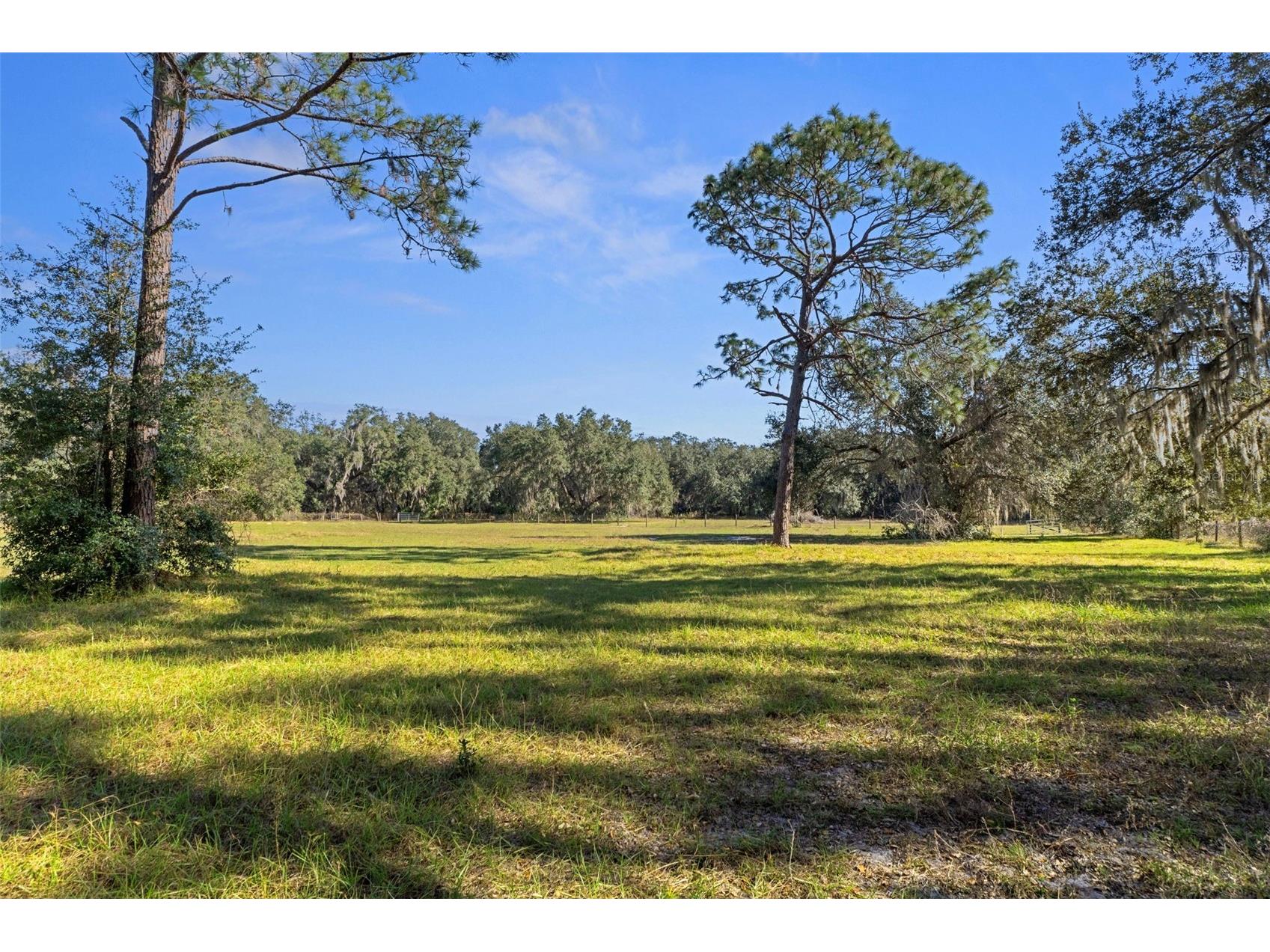 27910 Debbie Road Okahumpka FL 34762 OM715893 image76