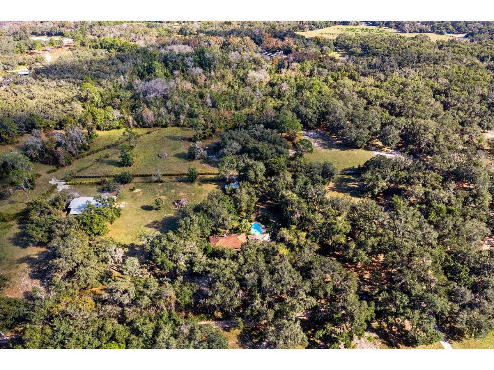 27910 Debbie Road Okahumpka FL 34762 OM715893 image79