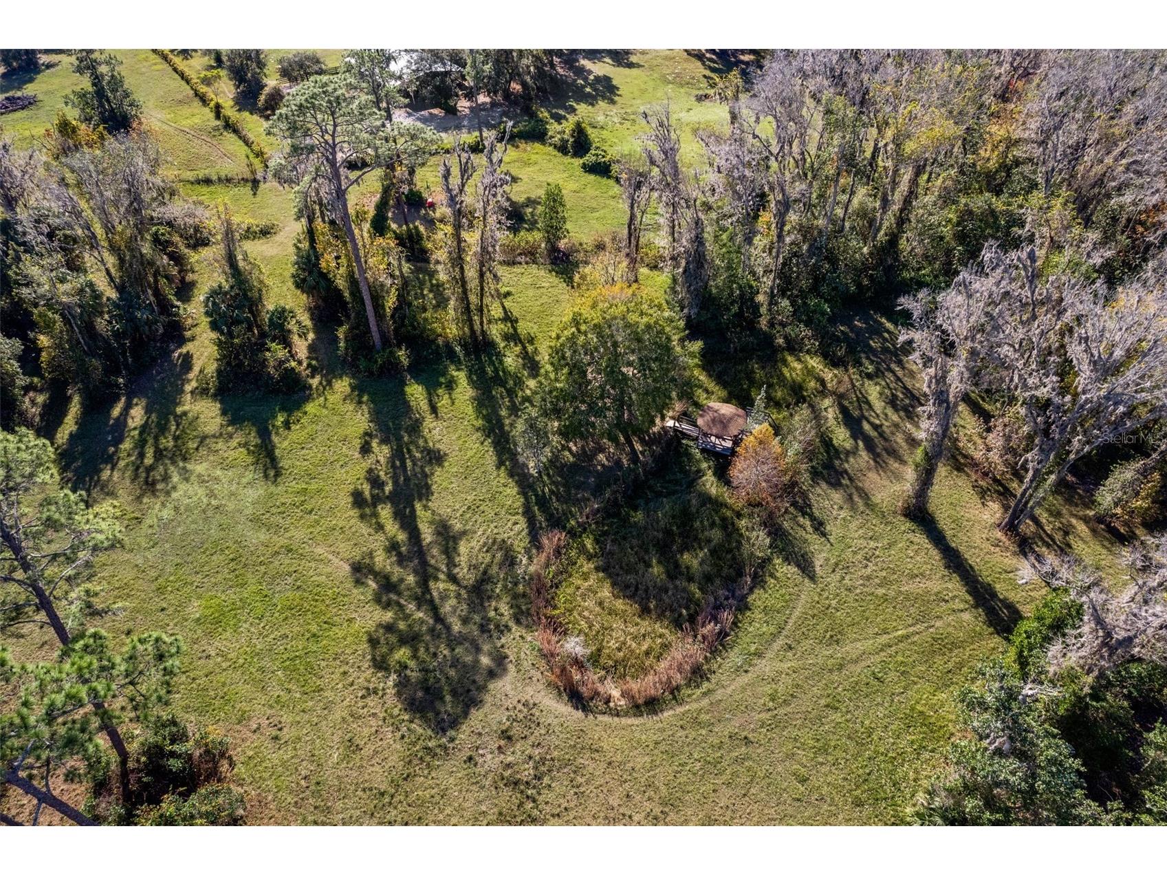 27910 Debbie Road Okahumpka FL 34762 OM715893 image83