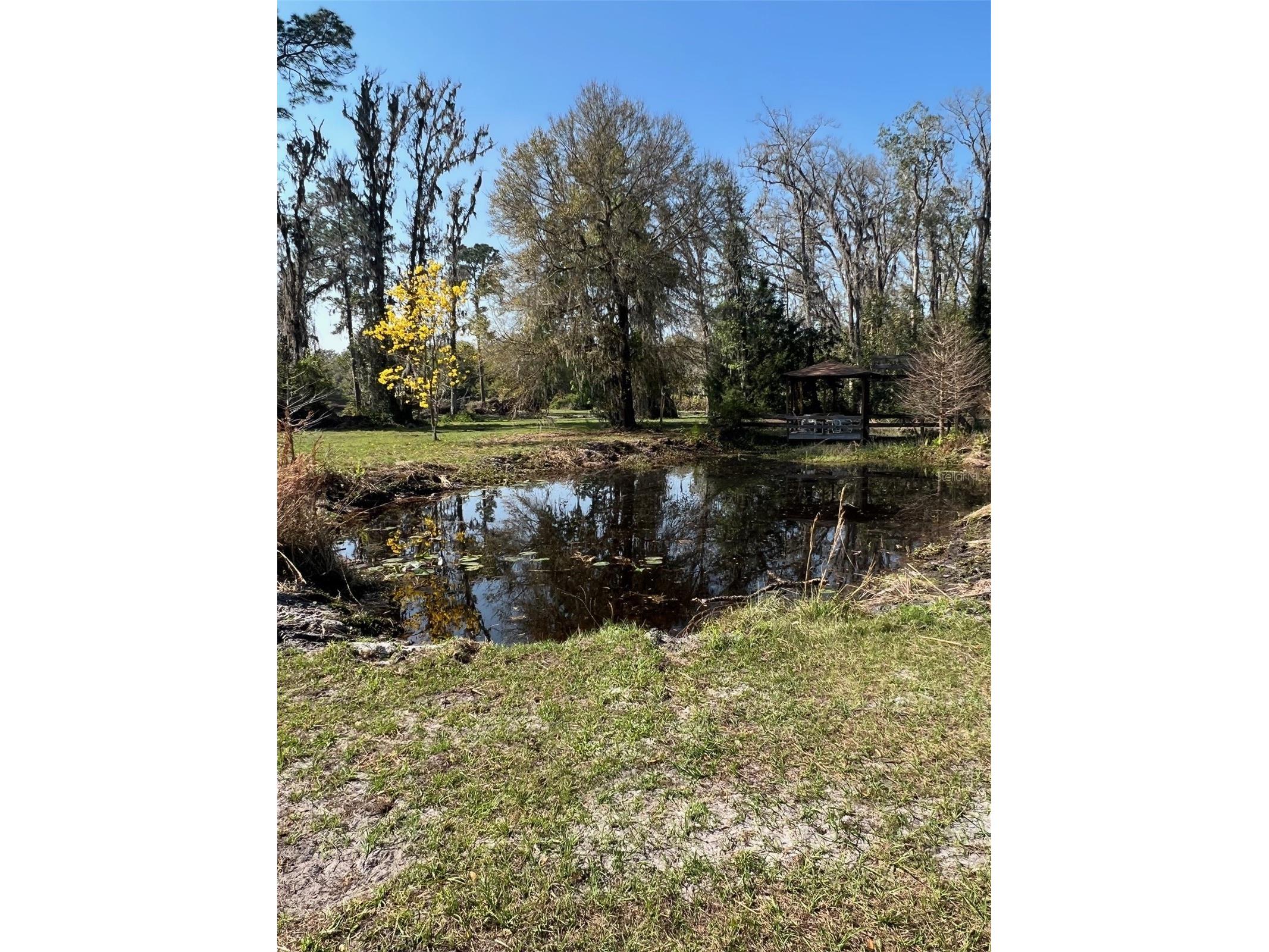 27910 Debbie Road Okahumpka FL 34762 OM715893 image84