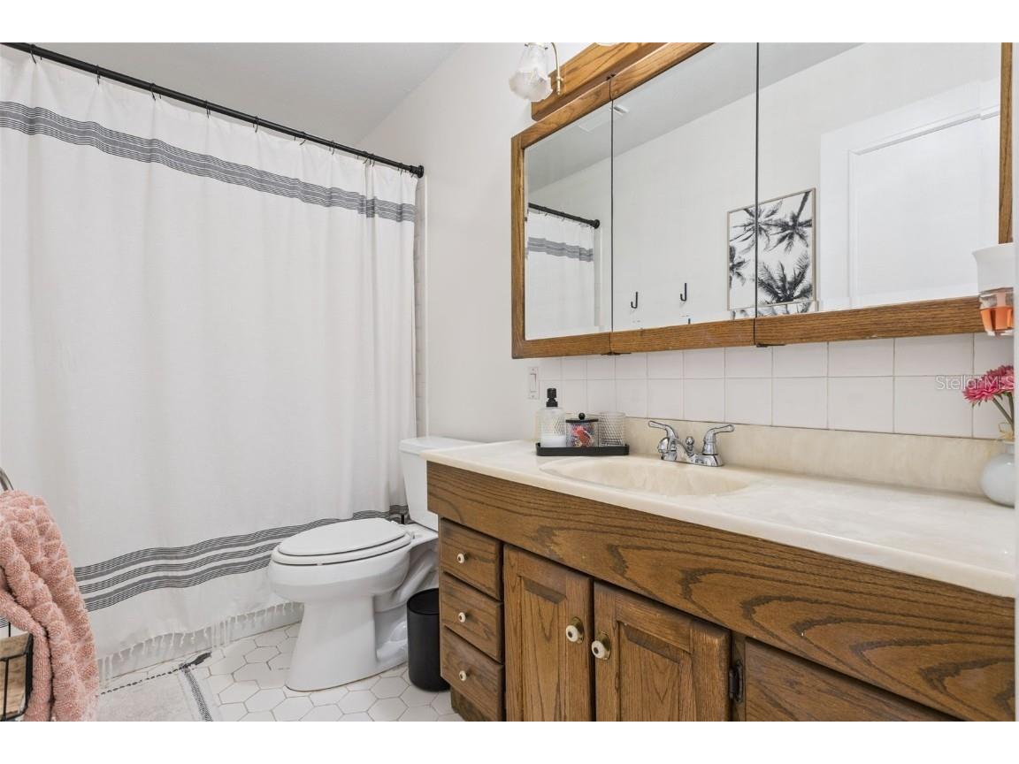 27922 Tammi Drive Tavares FL 32778 O6352517 image27